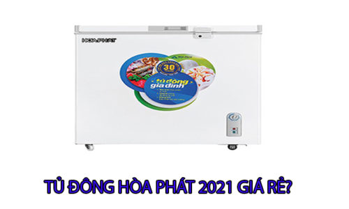 Những mẫu tủ đông Hòa Phát mode 2021 chính hãng giá rẻ